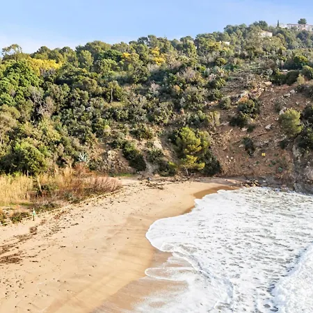 Cactus - Welkeys كافالير سور مير