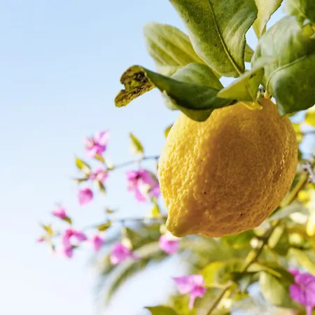 Apartamento Cactus - Welkeys