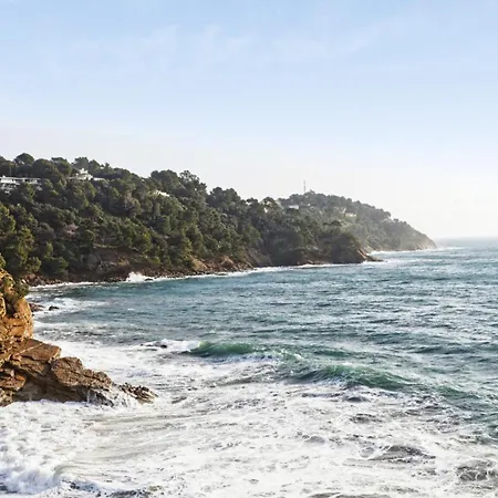 Cactus - Welkeys * Cavalaire-sur-Mer