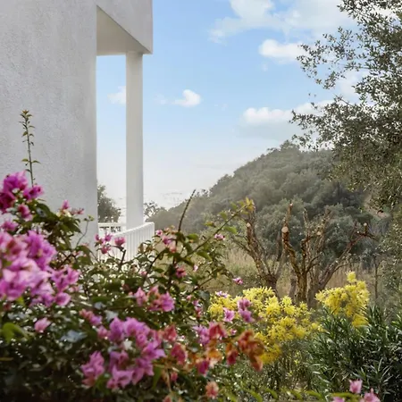 Apartament Cactus - Welkeys *