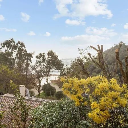 Cactus - Welkeys * Cavalaire-sur-Mer